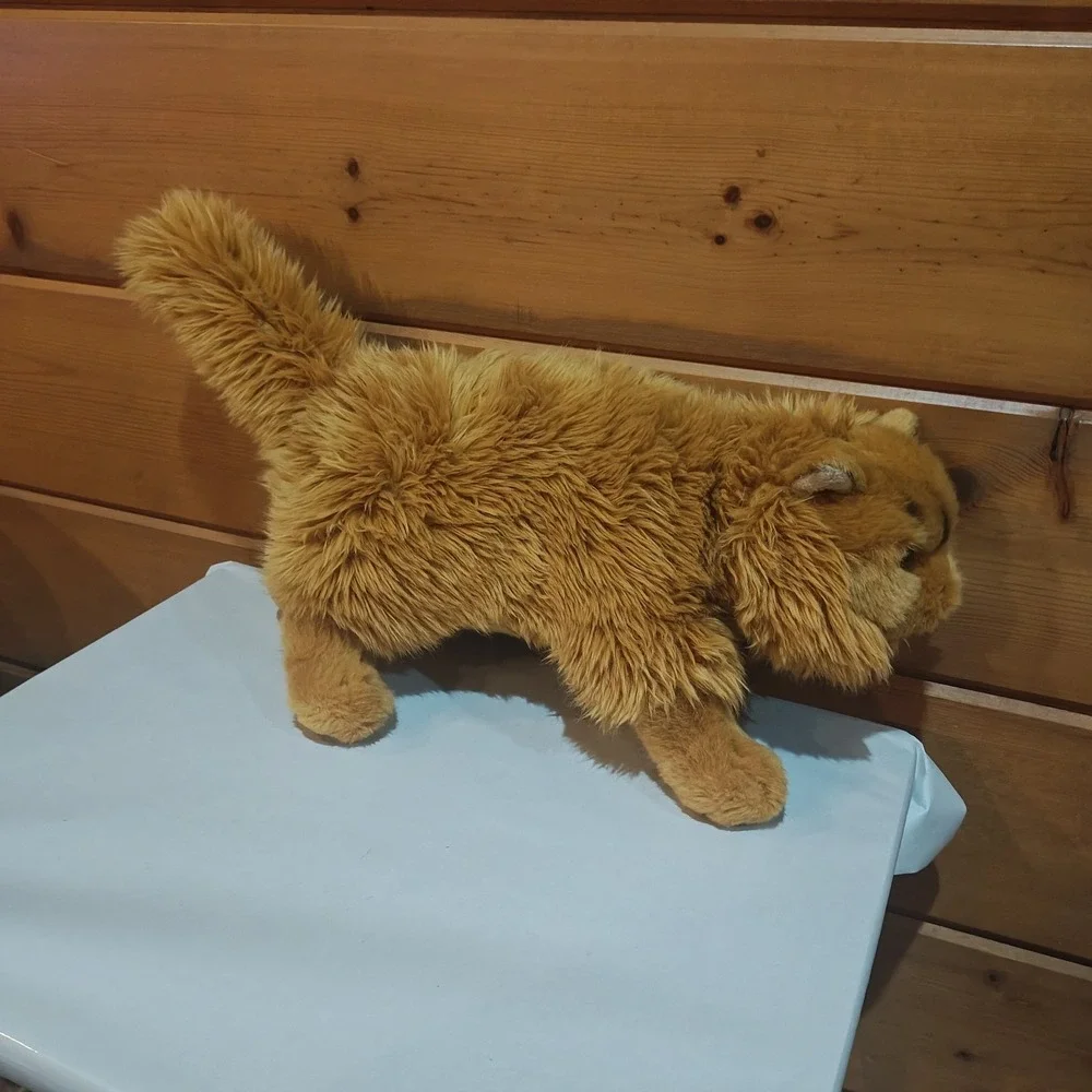 Harry‎ Potter Crookshanks Plush Wizarding World Universal Orlando Hermione's Cat - Picture 3 of 6